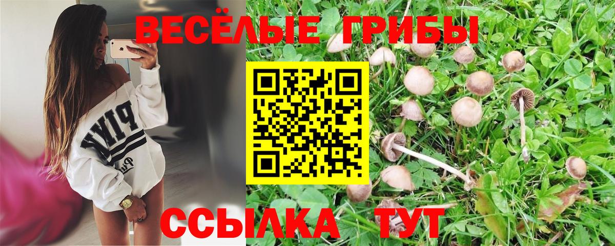 Галлюциногенные грибы ЛСД  Вход с VPN  Гулькевичи 