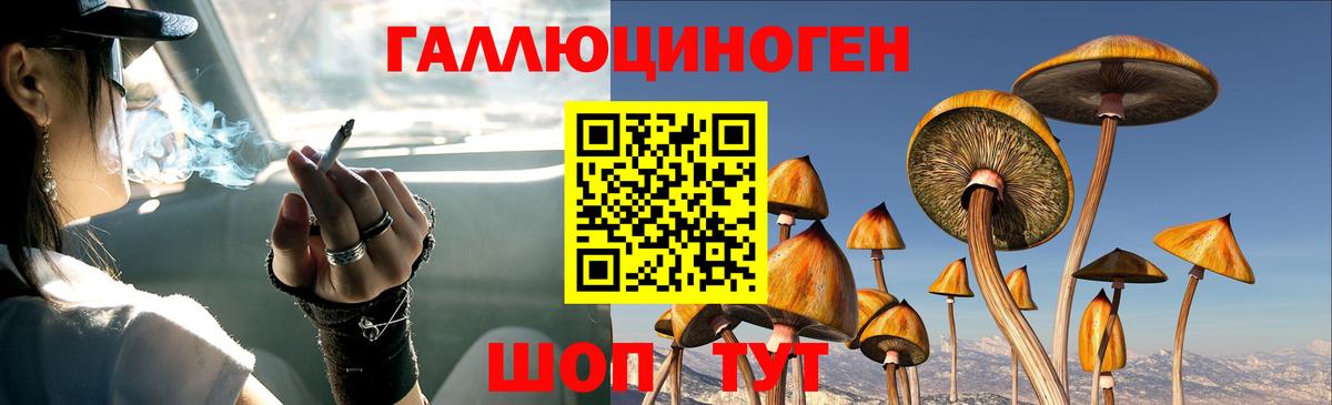 Псилоцибиновые грибы мухоморы Гулькевичи